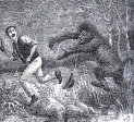 bigfoot_has_australian_genes001006.jpg