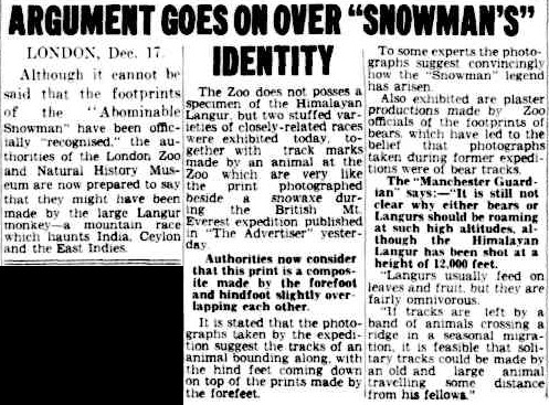 argument_over_snowman_identity.jpg
