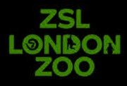 london_zoo2.jpg