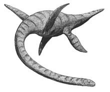 plesiosaurus.jpg
