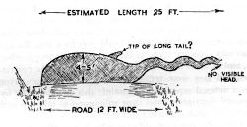 loch_ness_monster001007.jpg