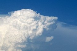pareidolia-dog-cloud-m.jpg