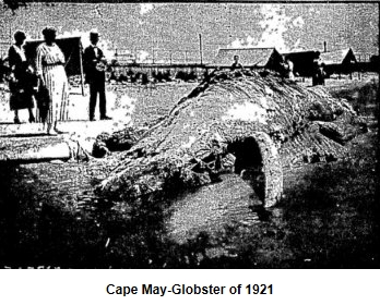cape_may_globster.jpg