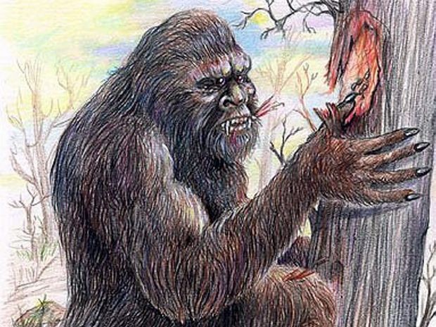 yowie_bites_tree.jpg