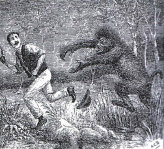 reports_of_the_wild_hairy_man_6001015.jpg