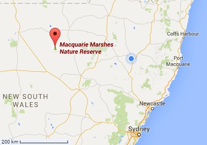 macquarie_marshes.jpg