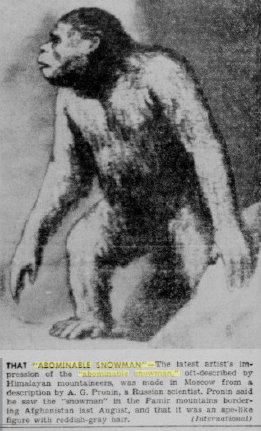 the_history_of_the_gold_coast_yowie001001.jpg