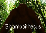 yowie_bigfoot001017.jpg