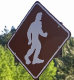 yowie_bigfoot_2014001014.jpg