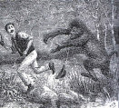 yowie_bigfoot_2014001047.jpg