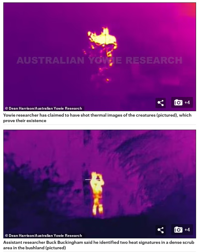 yowie_thermal_images_may_2021_01.jpg